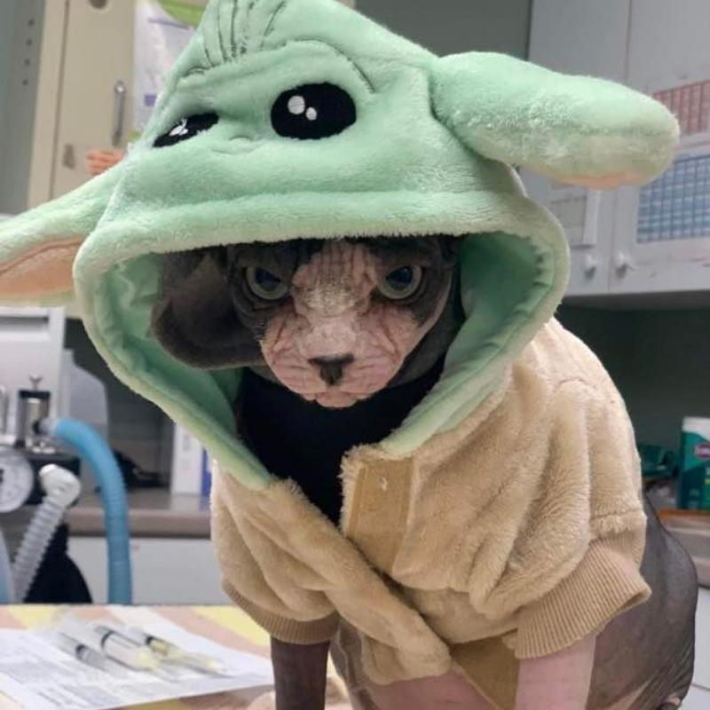 Community Connections Tailored Care